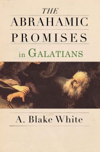 Image of Abrahamic Promises in Galatians, The.